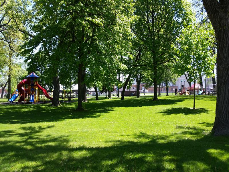 City Park